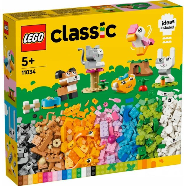 11034,.jpg