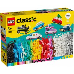11036.jpg