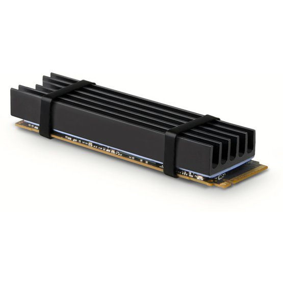 CLR-M2L10a.jpg
