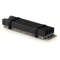 CLR-M2L10a.jpg