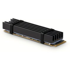 CLR-M2L10a.jpg