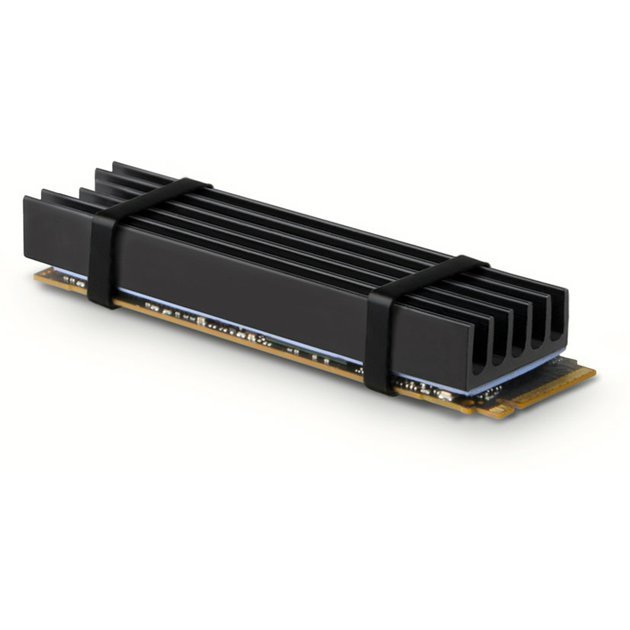CLR-M2L10a.jpg