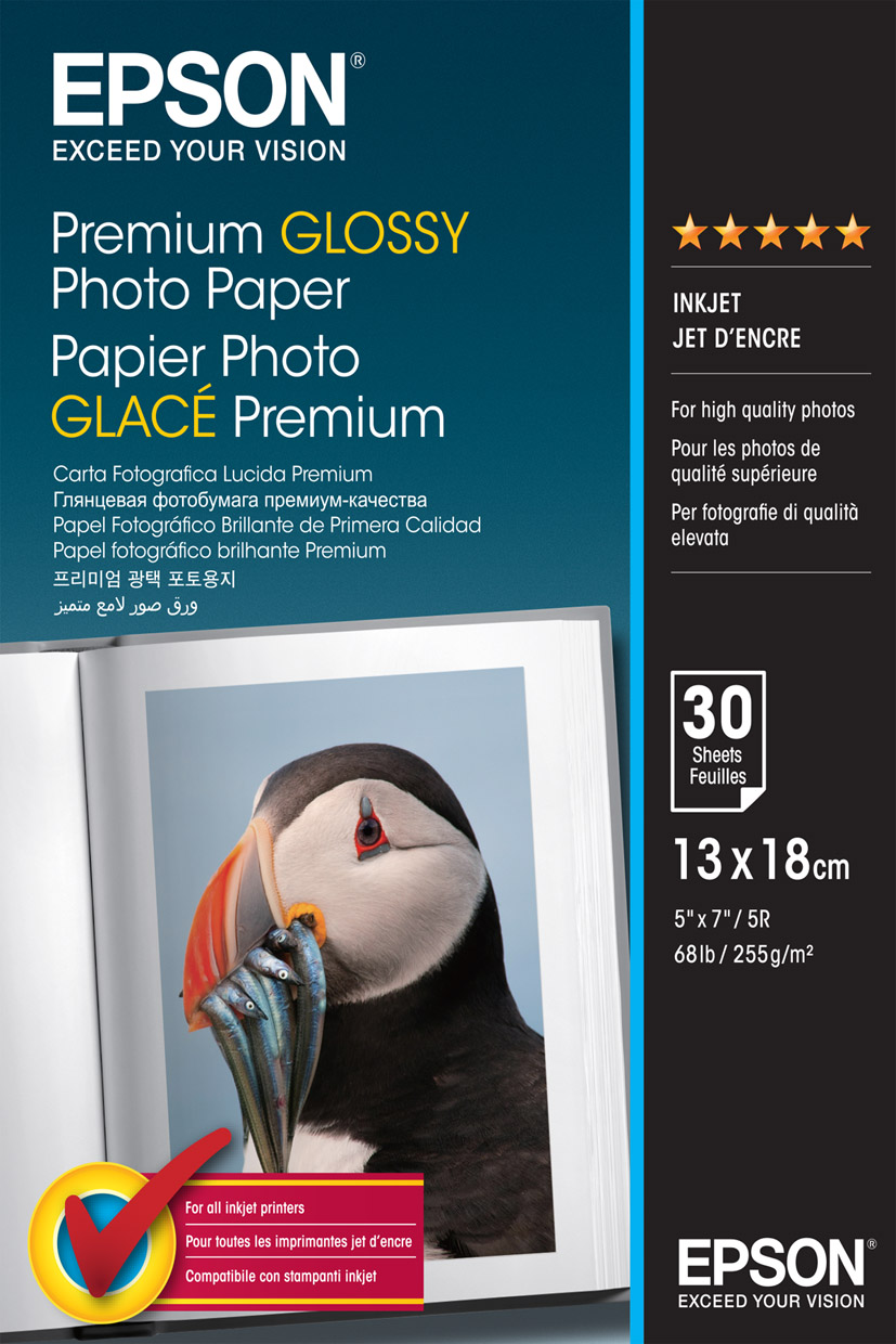 Epson Value Glossy Photo Paper - 10x15cm - 100 Fogli C13S400039, Carta  fotografica