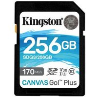 KINGSTON Canvas Go! 256GB SDXC Card U3 Class 10 - SDG3/256GB