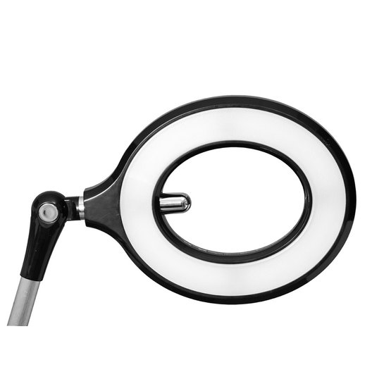LBL1225-BI,.jpg