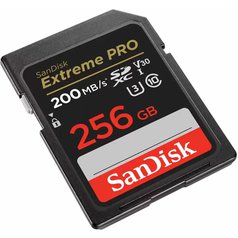SDSDXXD-256G-GN4INb