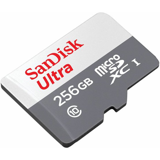 SDSQUNR-256G-GN6TAa