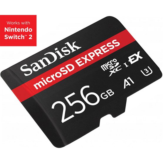 SDSQXFN-256G-GN4NNb
