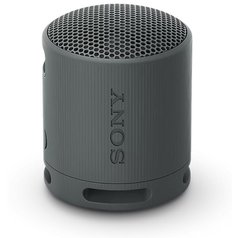SRS-XB100a.jpg