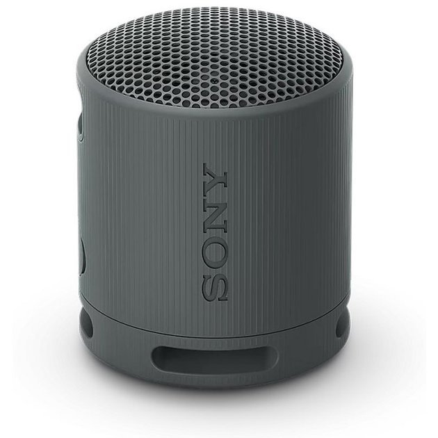 SRS-XB100a.jpg