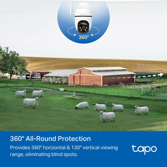 Tapo C501GWf.jpg