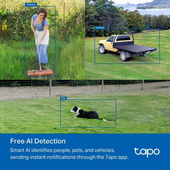 Tapo C501GWg.jpg