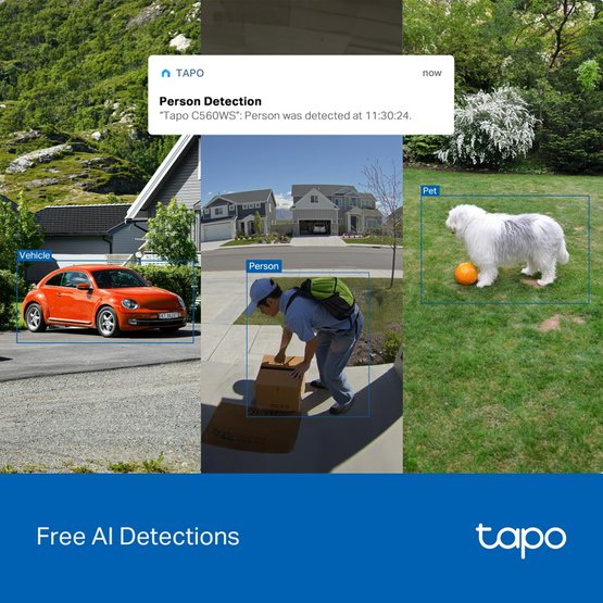 Tapo C560WSf.jpg