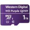 WDD100T1P0Ca