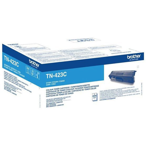 tn423ca.jpg