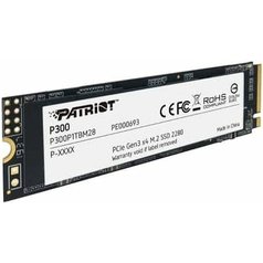 p300.jpg